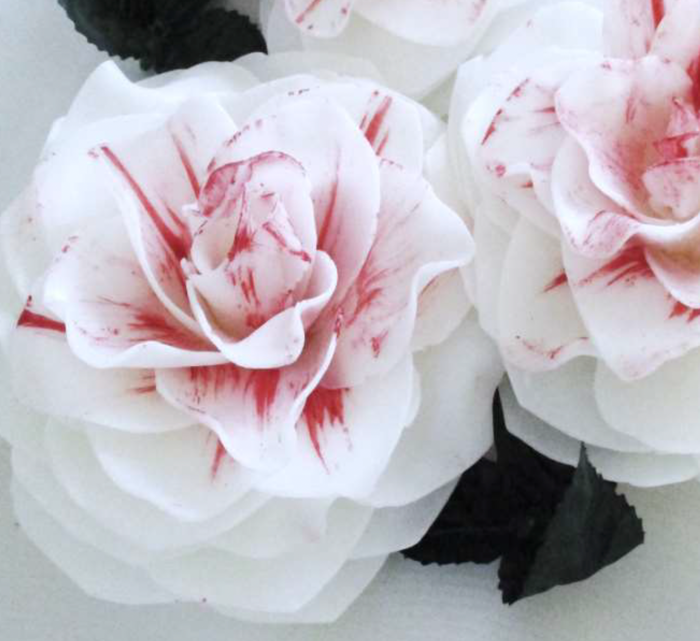 Heart of Amaryllis Soap