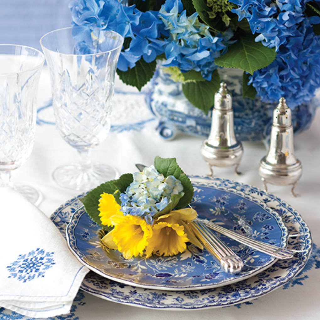 Living with Blue & White