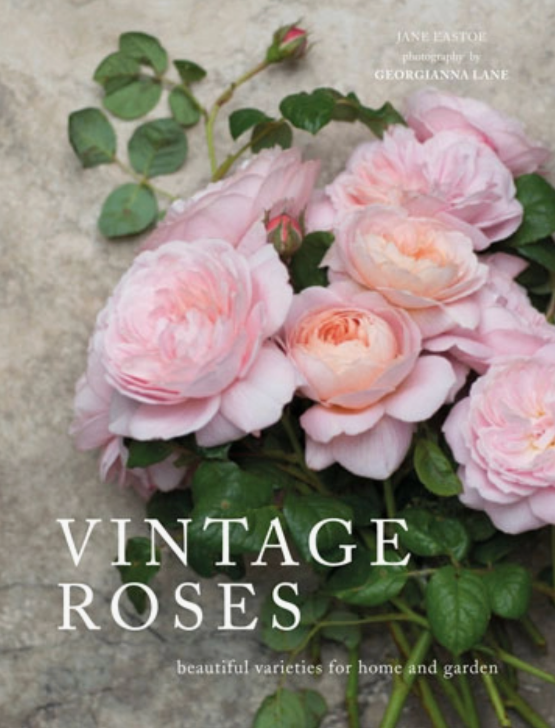 Vintage Roses: Beautiful Varieties For Home & Garden
